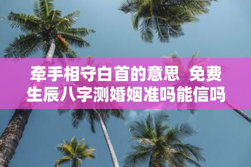 牵手相守白首的意思 免费生辰八字测婚姻准吗能信吗