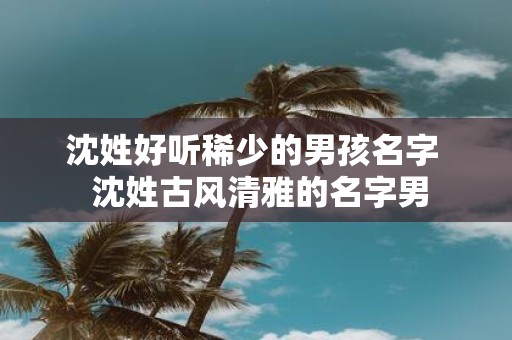 沈姓好听稀少的男孩名字 沈姓古风清雅的名字男