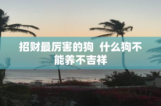 招财最厉害的狗 什么狗不能养不吉祥