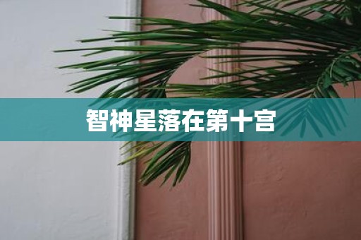 智神星落在第十宫