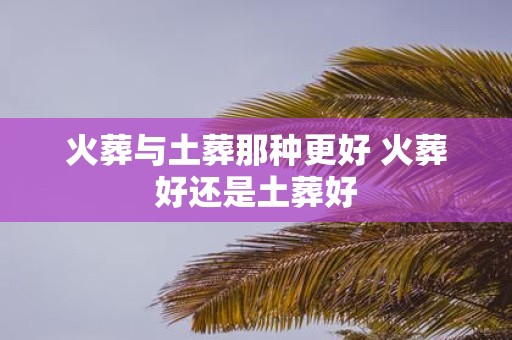 火葬与土葬那种更好 火葬好还是土葬好