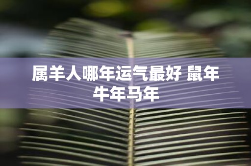 属羊人哪年运气最好 鼠年牛年马年