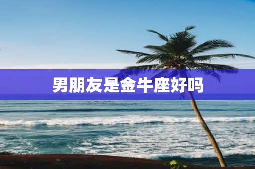 男朋友是金牛座好吗
