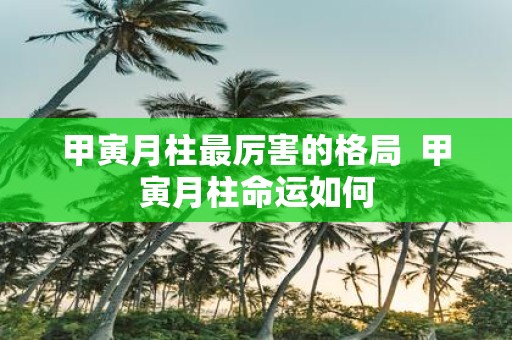 甲寅月柱最厉害的格局 甲寅月柱命运如何