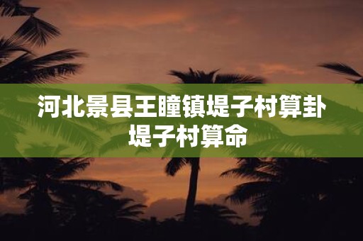 河北景县王瞳镇堤子村算卦 堤子村算命