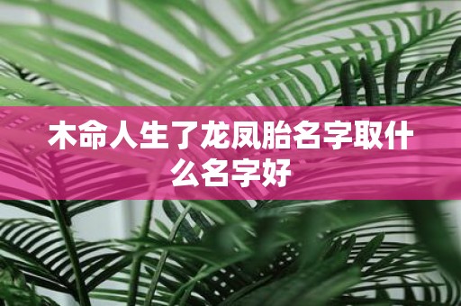 木命人生了龙凤胎名字取什么名字好