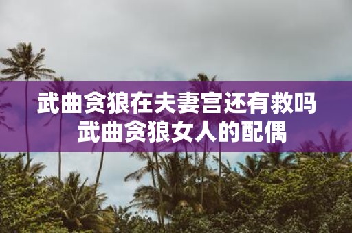 武曲贪狼在夫妻宫还有救吗 武曲贪狼女人的配偶