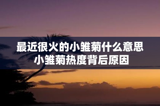 最近很火的小雏菊什么意思 小雏菊热度背后原因