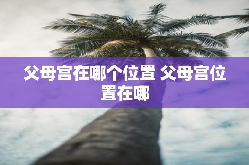 父母宫在哪个位置 父母宫位置在哪