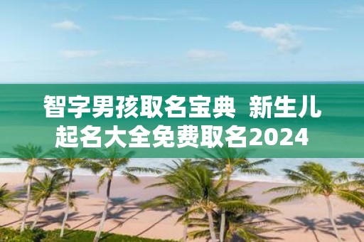 智字男孩取名宝典 新生儿起名大全免费取名2025