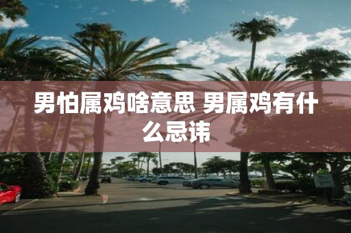 男怕属鸡啥意思 男属鸡有什么忌讳