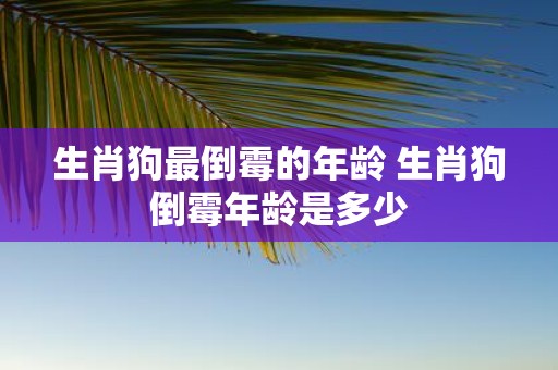 生肖狗最倒霉的年龄 生肖狗倒霉年龄是多少