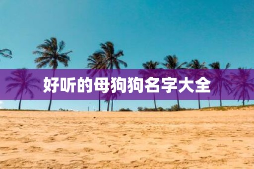好听的母狗狗名字大全