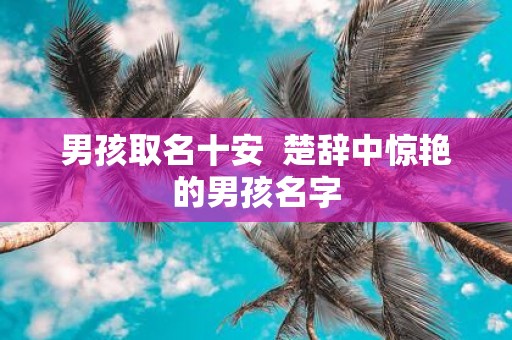 男孩取名十安 楚辞中惊艳的男孩名字