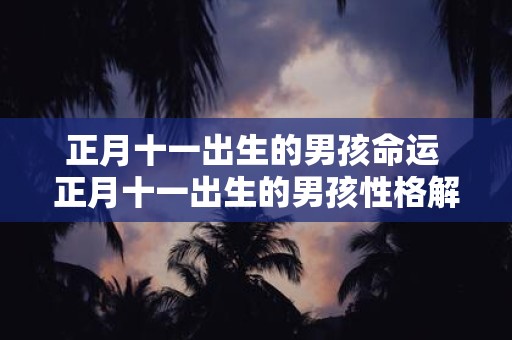正月十一出生的男孩命运 正月十一出生的男孩性格解析