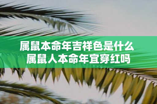 属鼠本命年吉祥色是什么 属鼠人本命年宜穿红吗