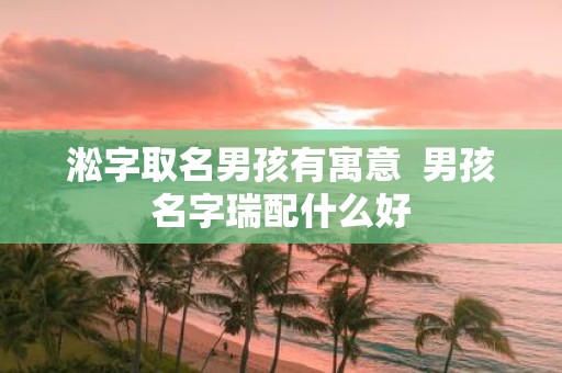 淞字取名男孩有寓意  男孩名字瑞配什么好