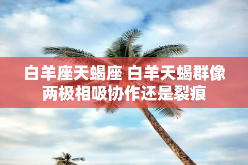 白羊座天蝎座 白羊天蝎群像两极相吸协作还是裂痕