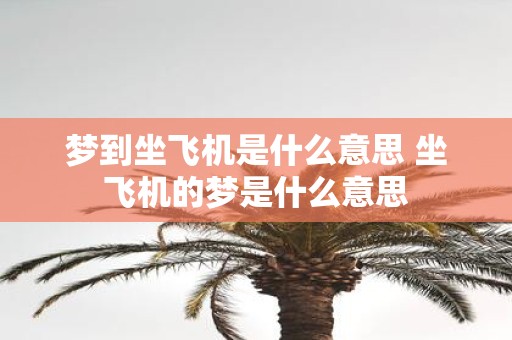 梦到坐飞机是什么意思 坐飞机的梦是什么意思