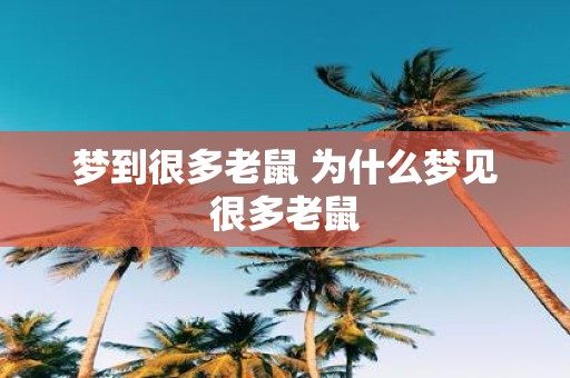 梦到很多老鼠 为什么梦见很多老鼠