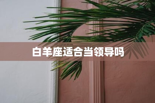白羊座适合当领导吗