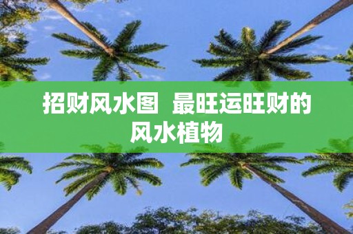 招财风水图 最旺运旺财的风水植物