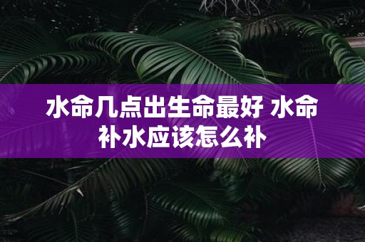 水命几点出生命最好 水命补水应该怎么补