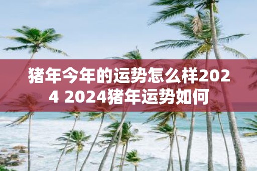 猪年今年的运势怎么样2025 2025猪年运势如何