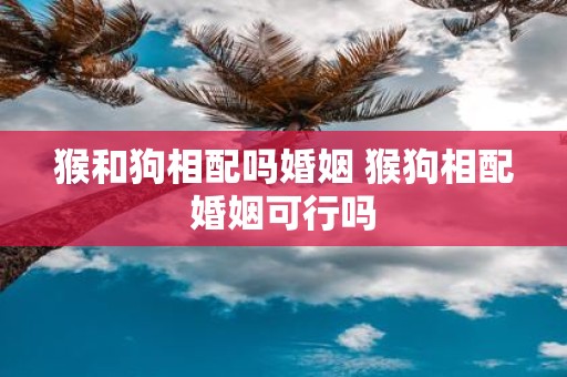 猴和狗相配吗婚姻 猴狗相配婚姻可行吗