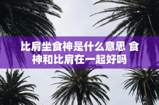 比肩坐食神是什么意思 食神和比肩在一起好吗