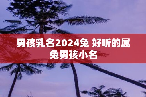 男孩乳名2025兔 好听的属兔男孩小名