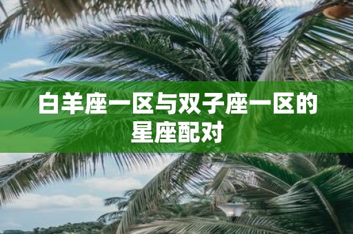 白羊座一区与双子座一区的星座配对