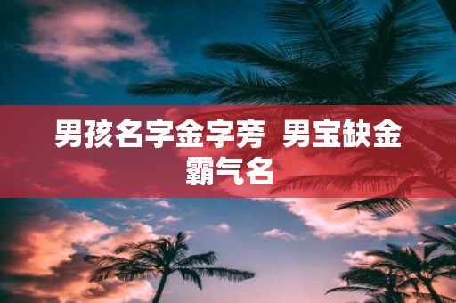 男孩名字金字旁 男宝缺金霸气名