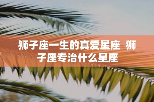 狮子座一生的真爱星座 狮子座专治什么星座
