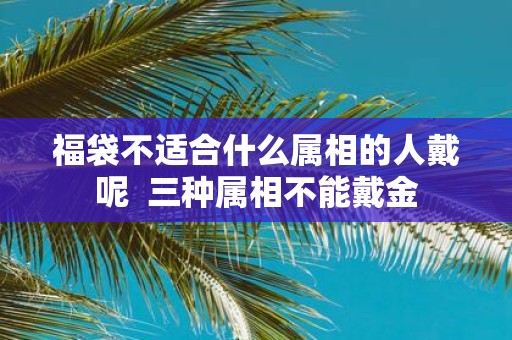 福袋不适合什么属相的人戴呢 三种属相不能戴金