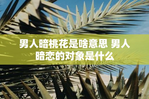 男人暗桃花是啥意思 男人暗恋的对象是什么