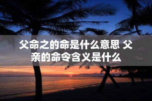 父命之的命是什么意思 父亲的命令含义是什么