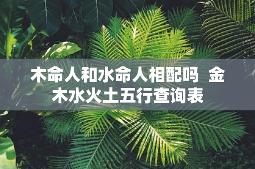 木命人和水命人相配吗 金木水火土五行查询表