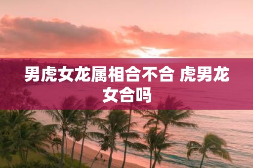 男虎女龙属相合不合 虎男龙女合吗
