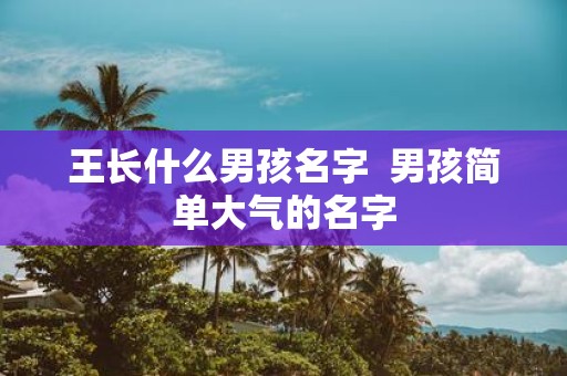 王长什么男孩名字 男孩简单大气的名字