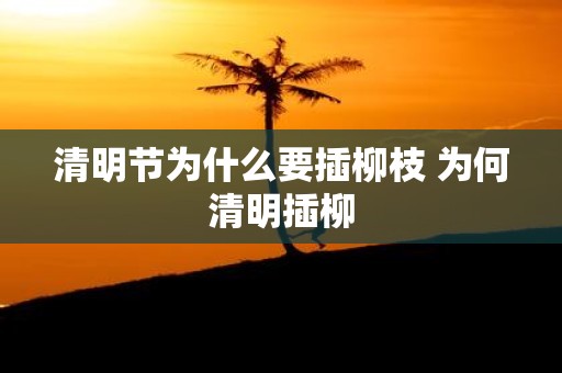 清明节为什么要插柳枝 为何清明插柳