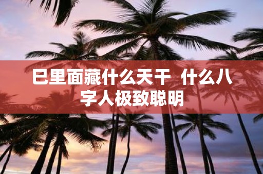 巳里面藏什么天干 什么八字人极致聪明