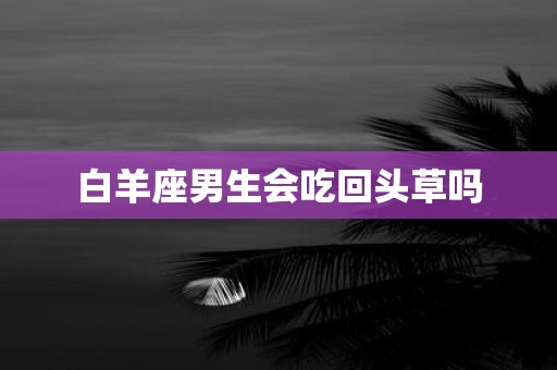 白羊座男生会吃回头草吗