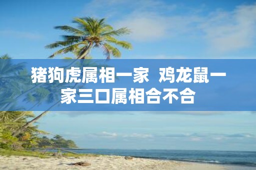 猪狗虎属相一家 鸡龙鼠一家三口属相合不合