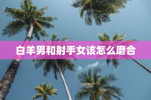 白羊男和射手女该怎么磨合
