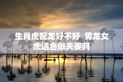 生肖虎配龙好不好 男龙女虎适合做夫妻吗