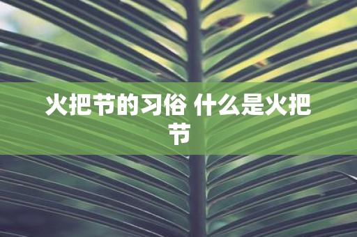 火把节的习俗 什么是火把节