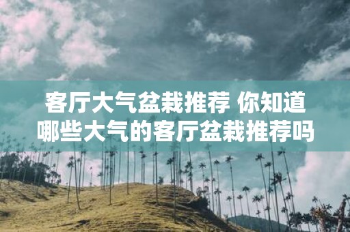 客厅大气盆栽推荐 你知道哪些大气的客厅盆栽推荐吗
