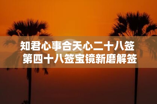 知君心事合天心二十八签 第四十八签宝镜新磨解签全解