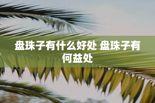 盘珠子有什么好处 盘珠子有何益处